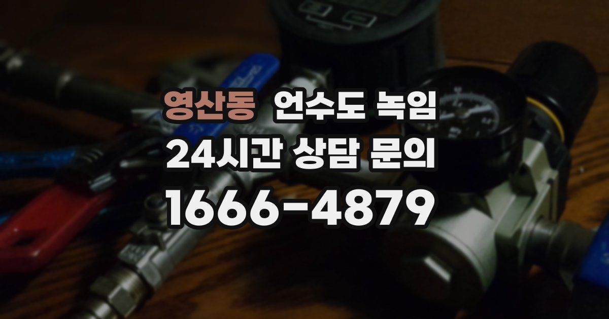 영산동 언수도 녹임