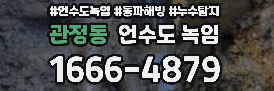 관정동 언수도 녹임