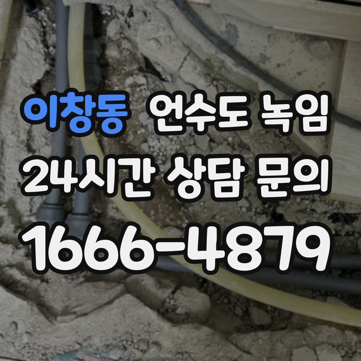 이창동 언수도 녹임