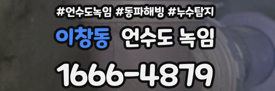 이창동 언수도 녹임