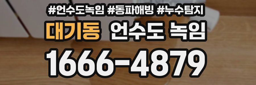 대기동 언수도 녹임