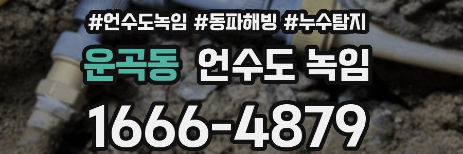 운곡동 언수도 녹임