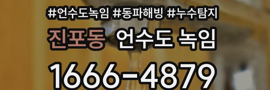 진포동 언수도 녹임