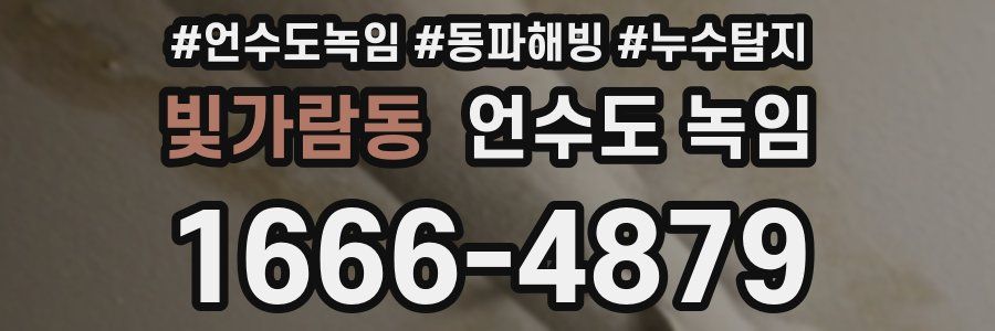 빛가람동 언수도 녹임