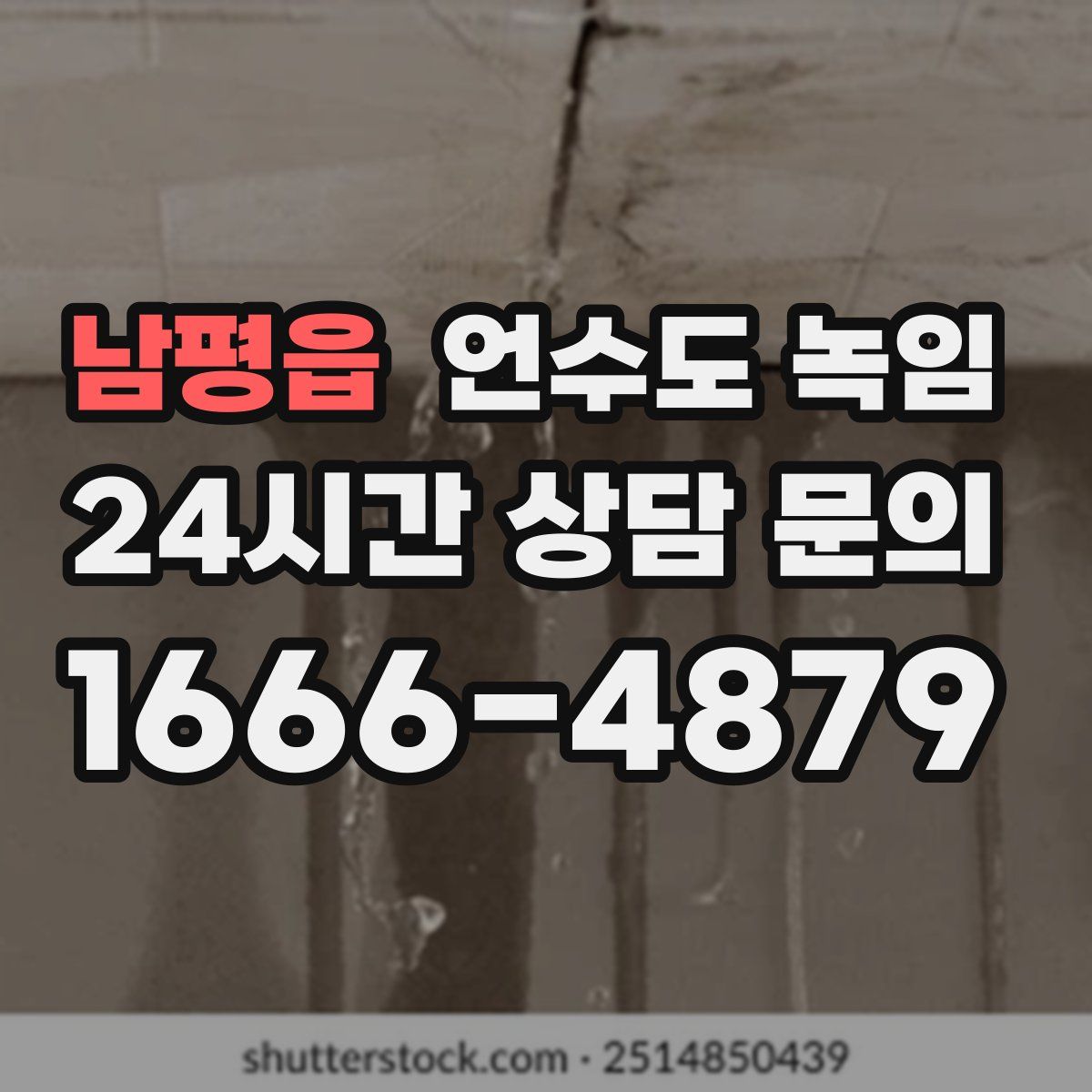 남평읍 언수도 녹임