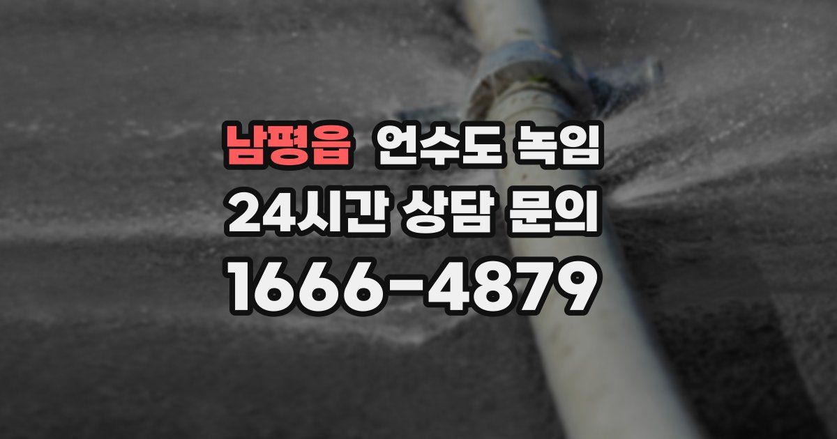 남평읍 언수도 녹임