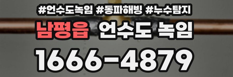 남평읍 언수도 녹임