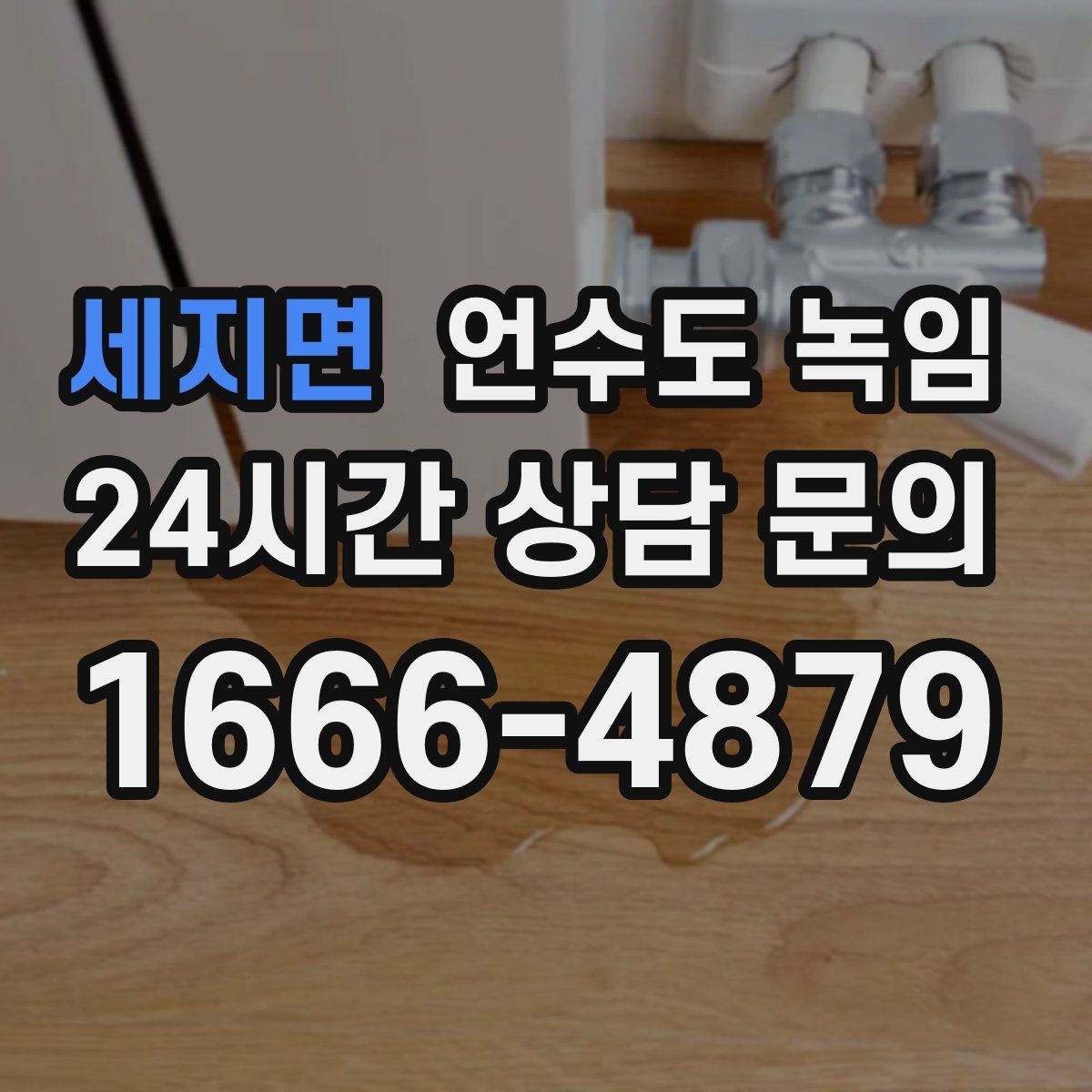 세지면 언수도 녹임