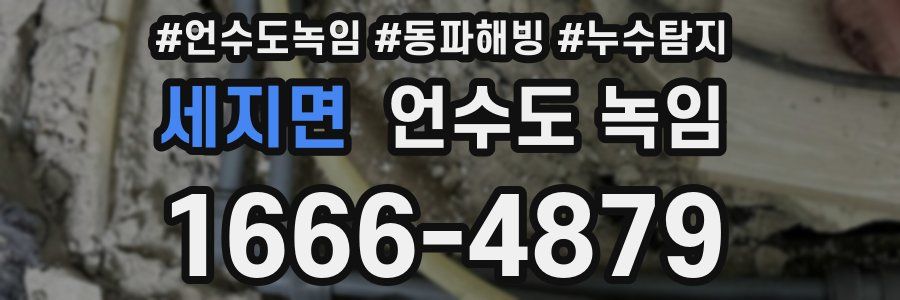 세지면 언수도 녹임