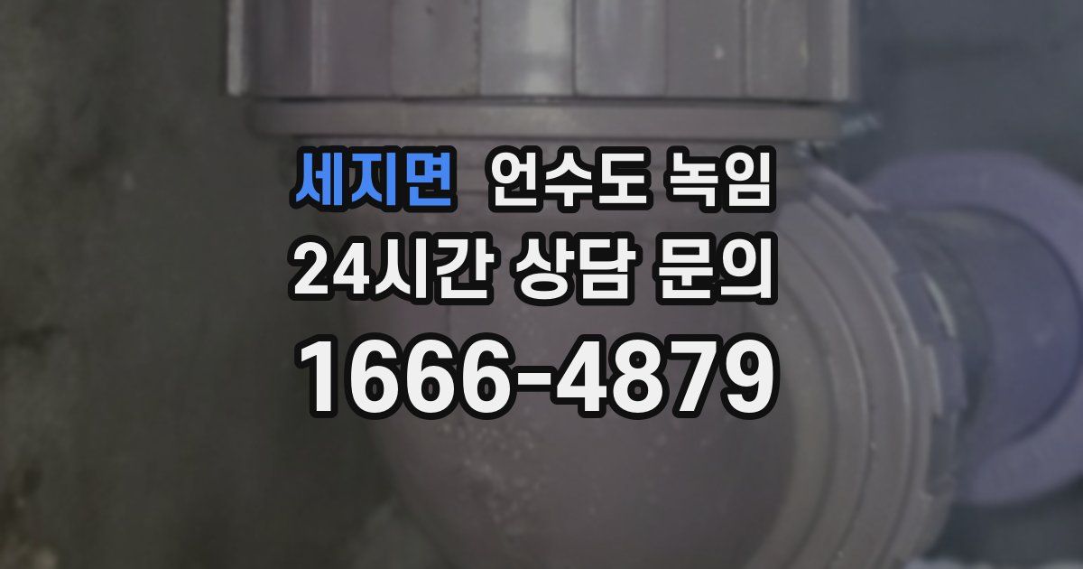 세지면 언수도 녹임