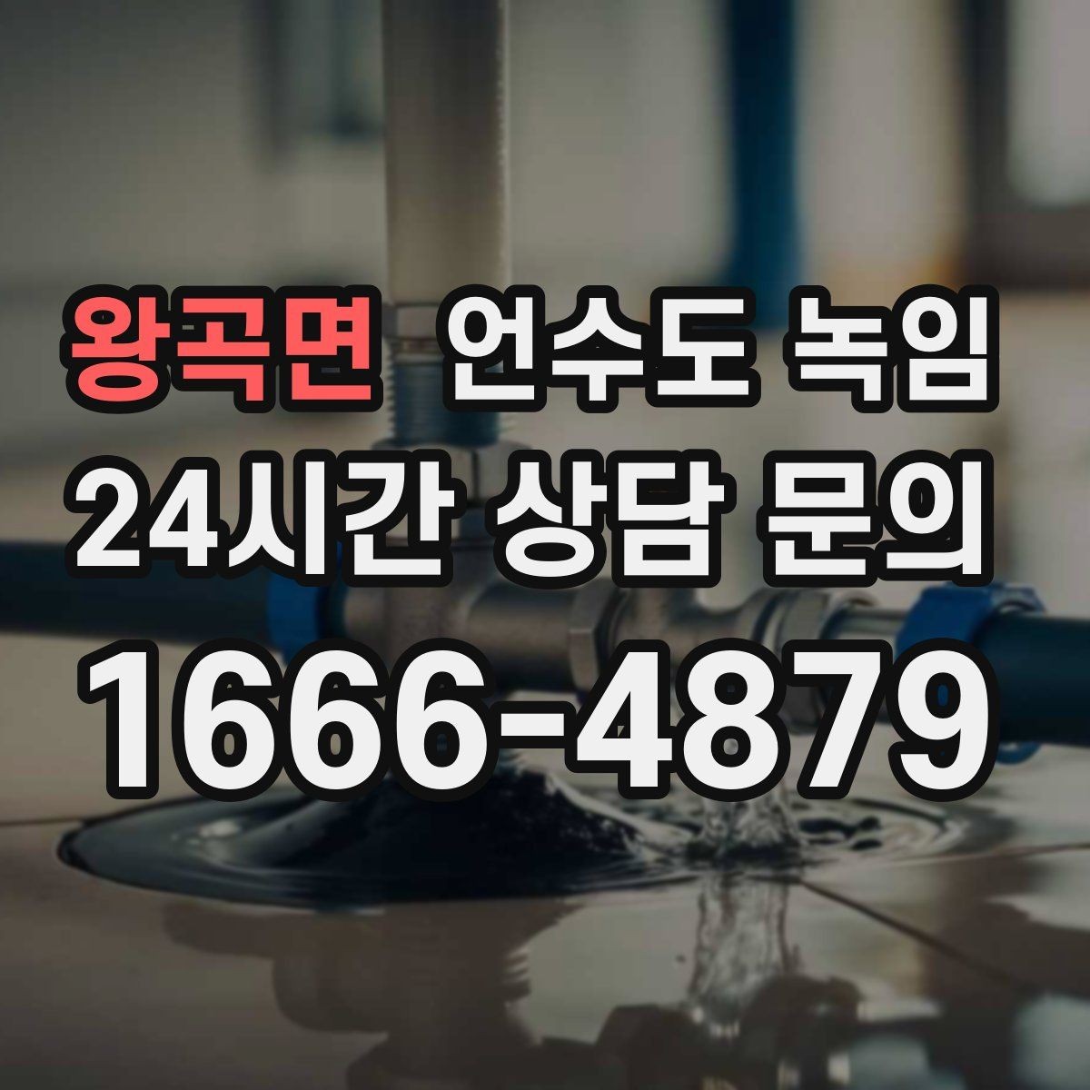 왕곡면 언수도 녹임 무리한 해빙이 동파로 이어지는 과정