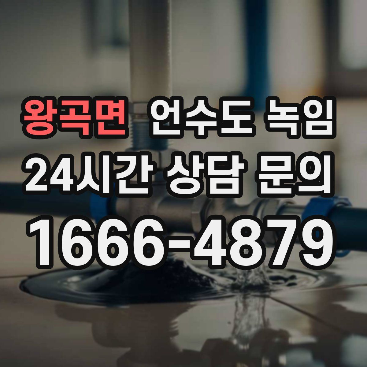 왕곡면 언수도 녹임