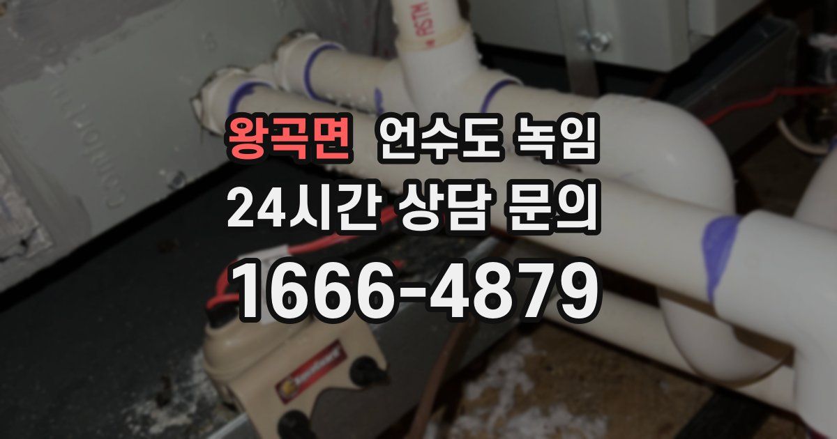 왕곡면 언수도 녹임