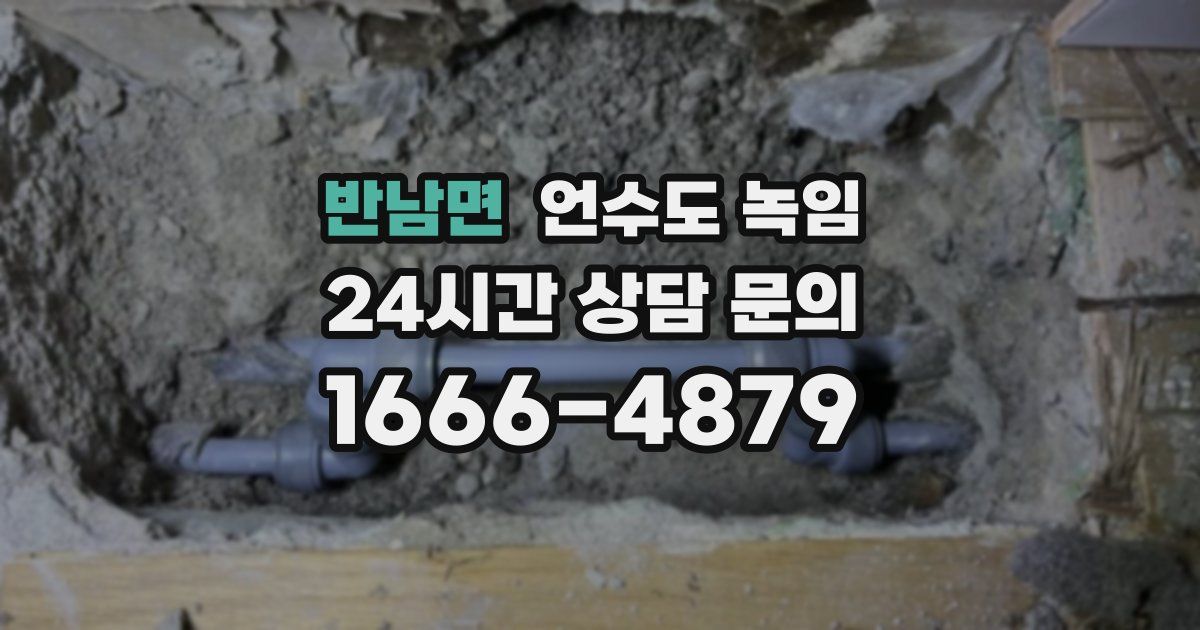 반남면 언수도 녹임