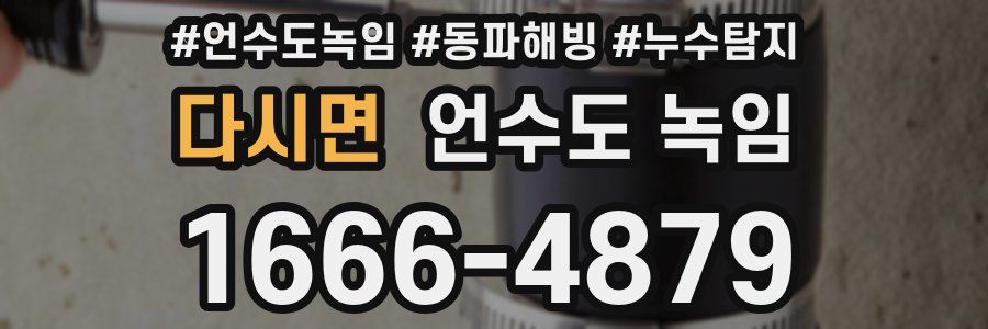 다시면 언수도 녹임