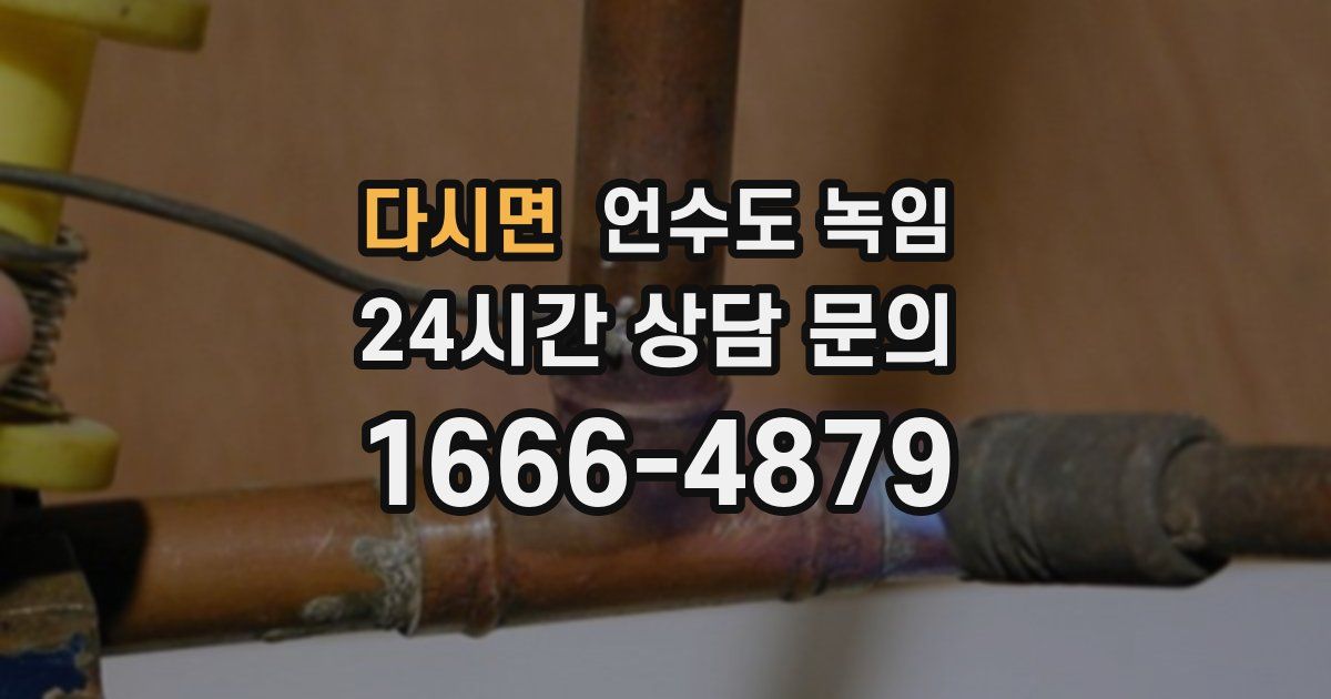 다시면 언수도 녹임