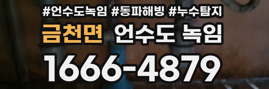 금천면 언수도 녹임