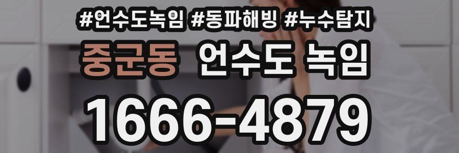 중군동 언수도 녹임