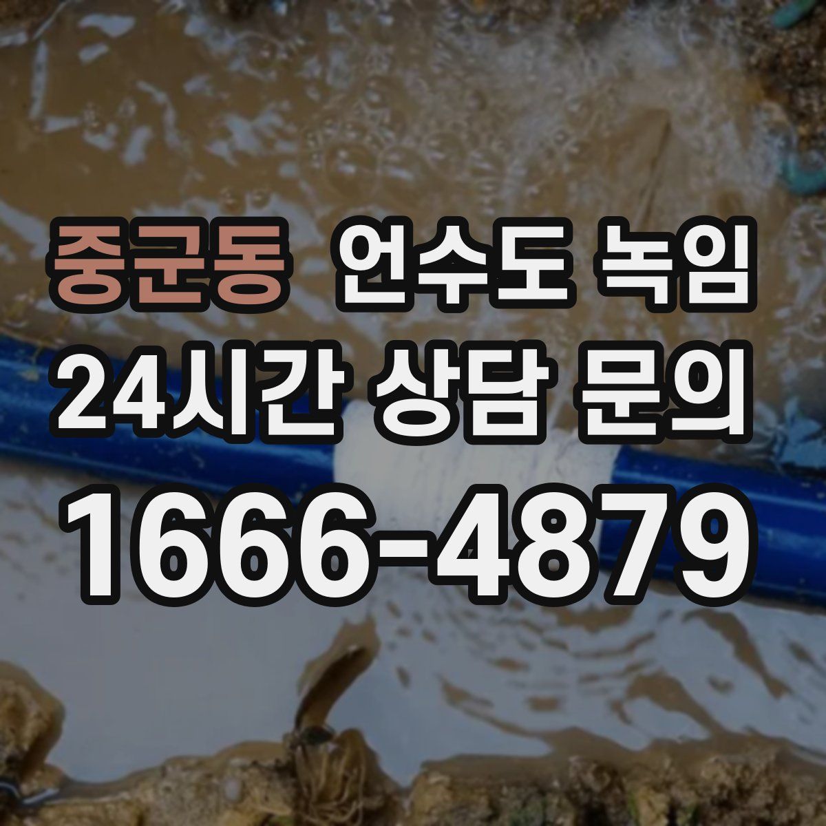 중군동 언수도 녹임