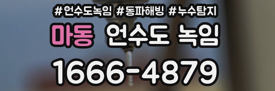 마동 언수도 녹임