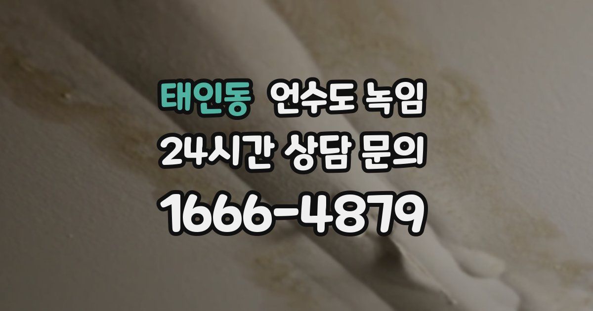 태인동 언수도 녹임