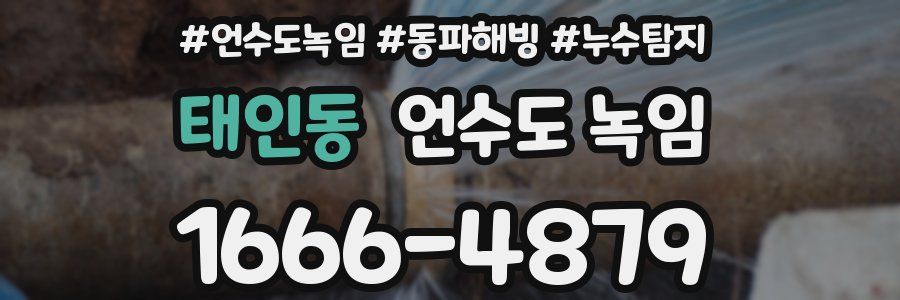 태인동 언수도 녹임