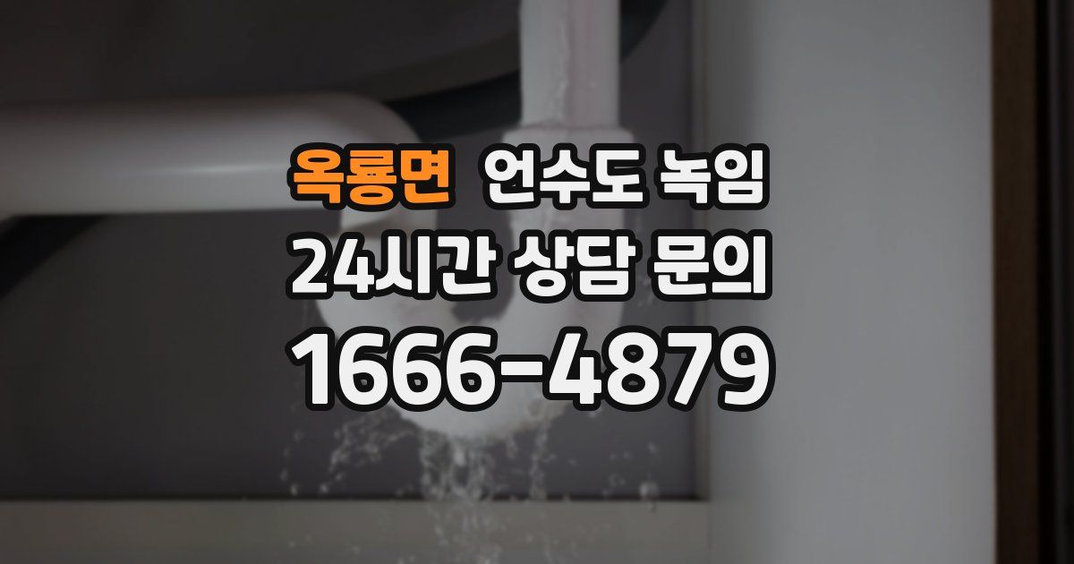 옥룡면 언수도 녹임