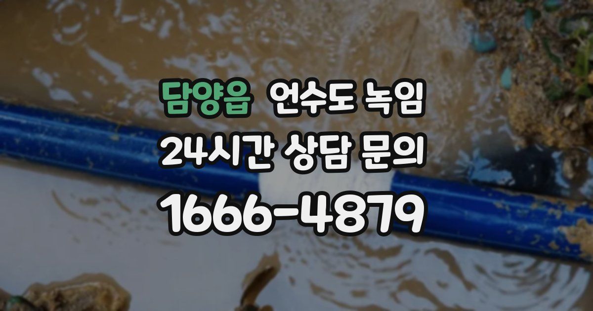 담양읍 언수도 녹임