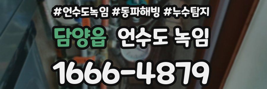 담양읍 언수도 녹임