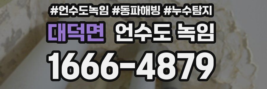 대덕면 언수도 녹임