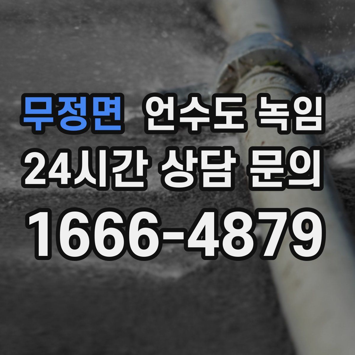 무정면 언수도 녹임