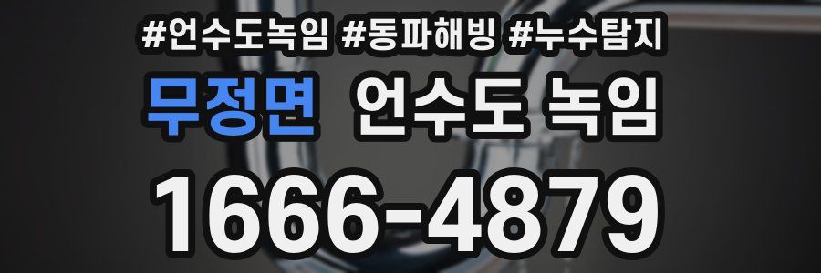 무정면 언수도 녹임