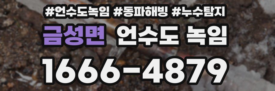 금성면 언수도 녹임