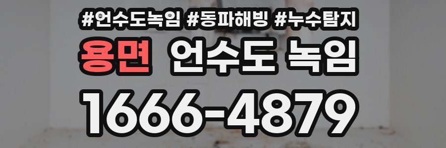 용면 언수도 녹임