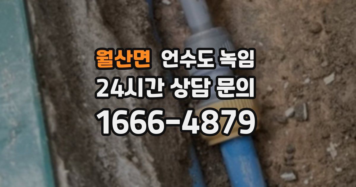 월산면 언수도 녹임