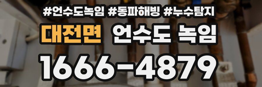 대전면 언수도 녹임