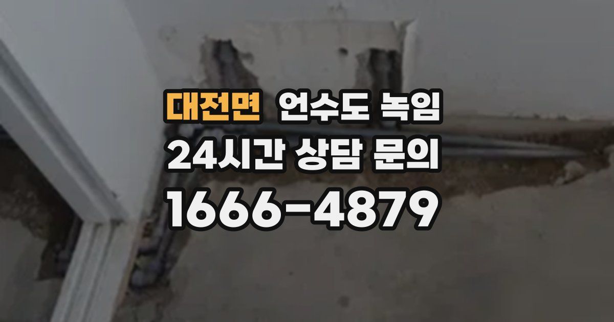 대전면 언수도 녹임