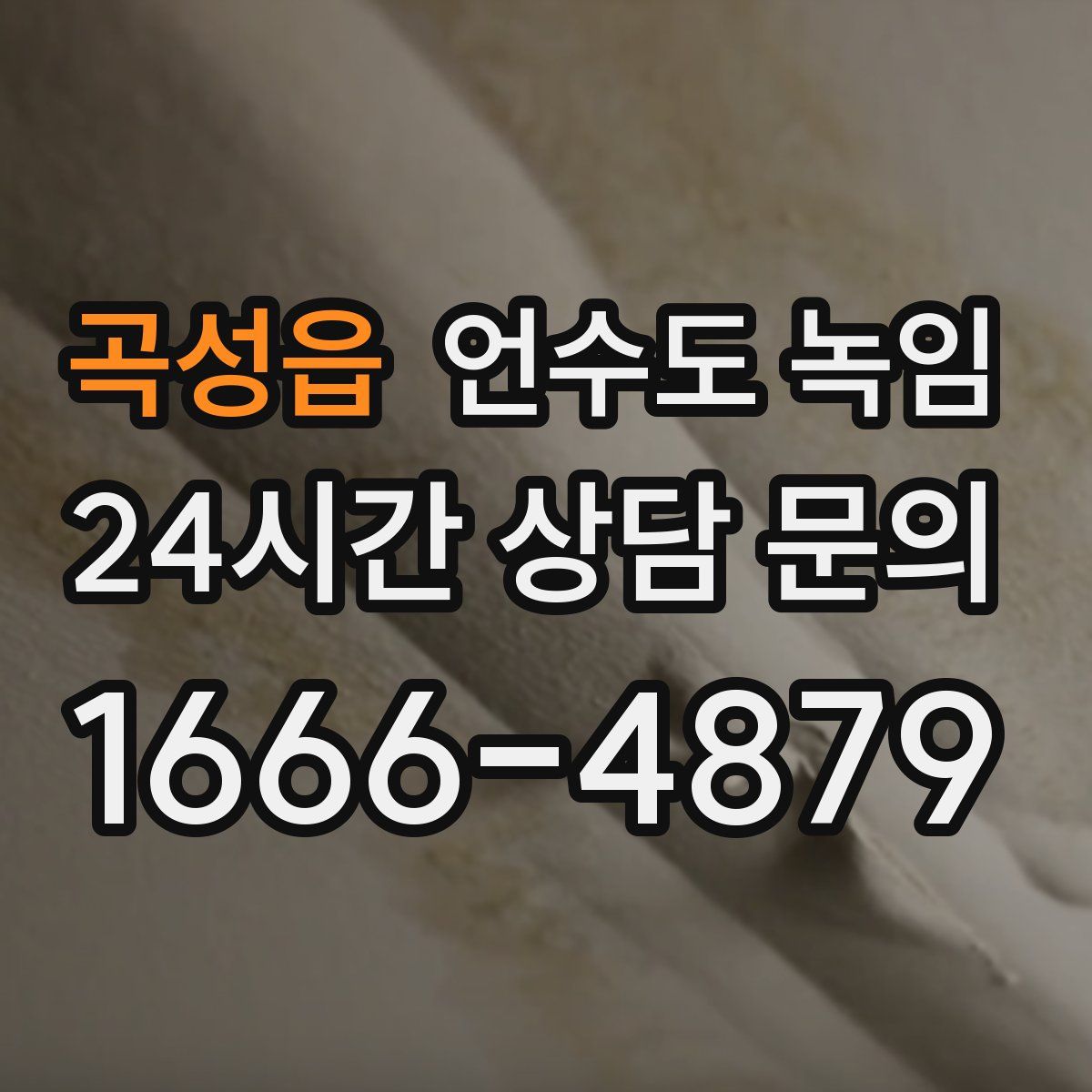 곡성읍 언수도 녹임