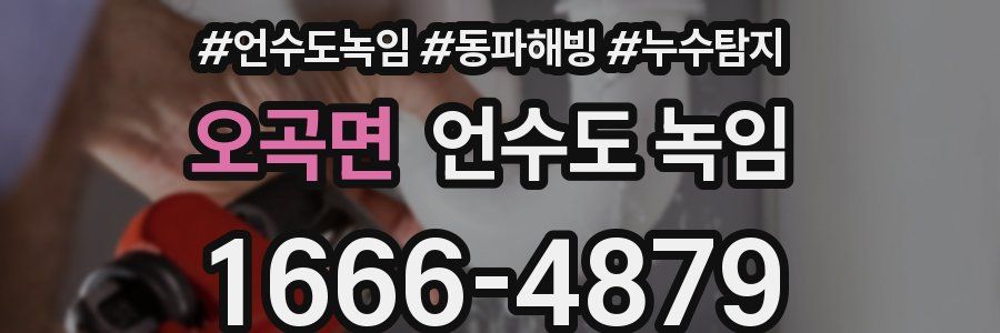 오곡면 언수도 녹임