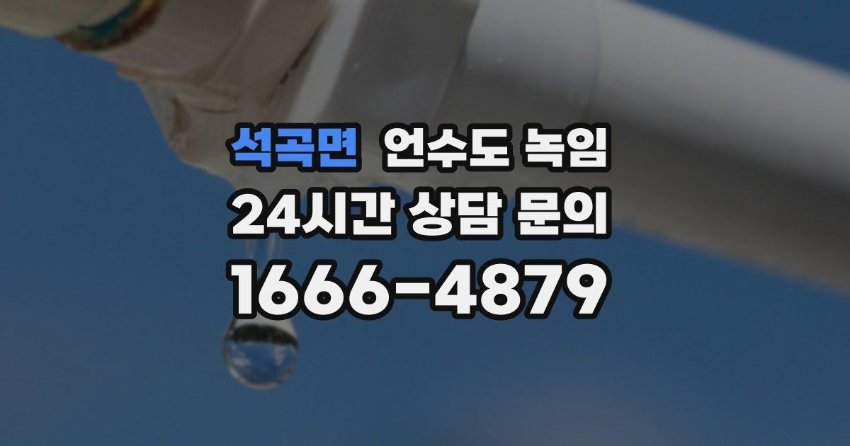 석곡면 언수도 녹임