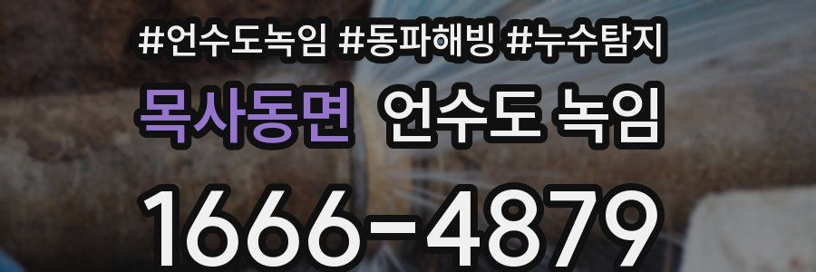 목사동면 언수도 녹임