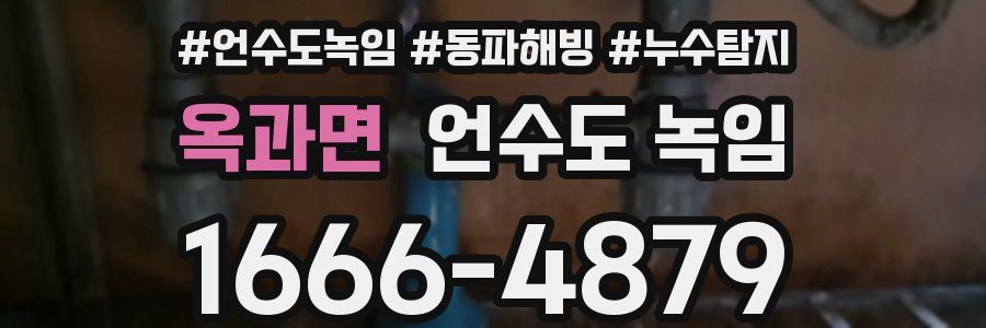 옥과면 언수도 녹임