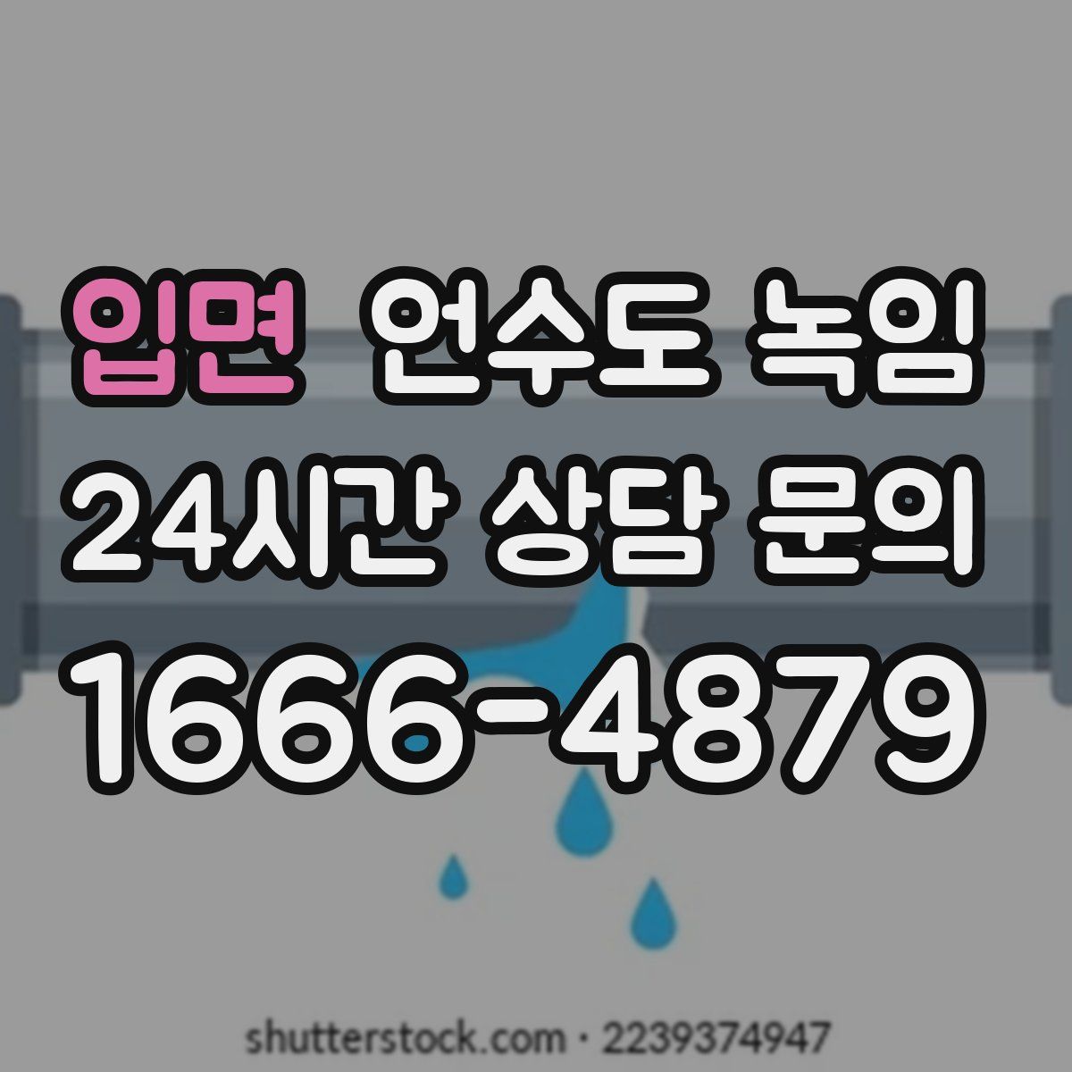 입면 언수도 녹임