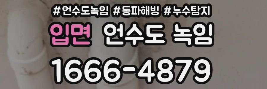 입면 언수도 녹임