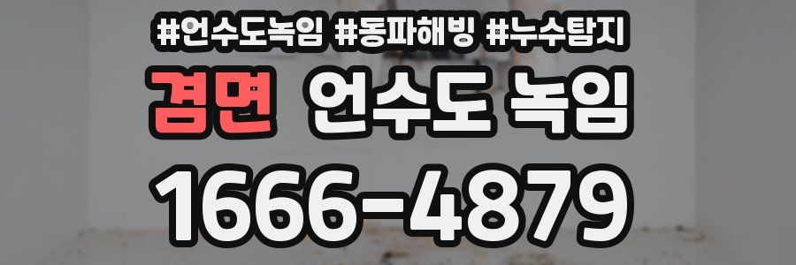 겸면 언수도 녹임