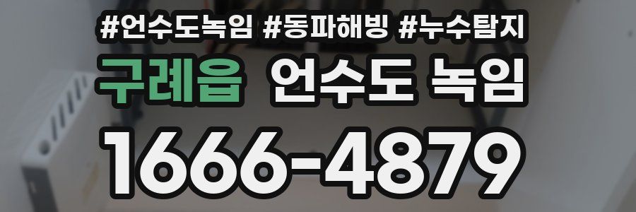 구례읍 언수도 녹임