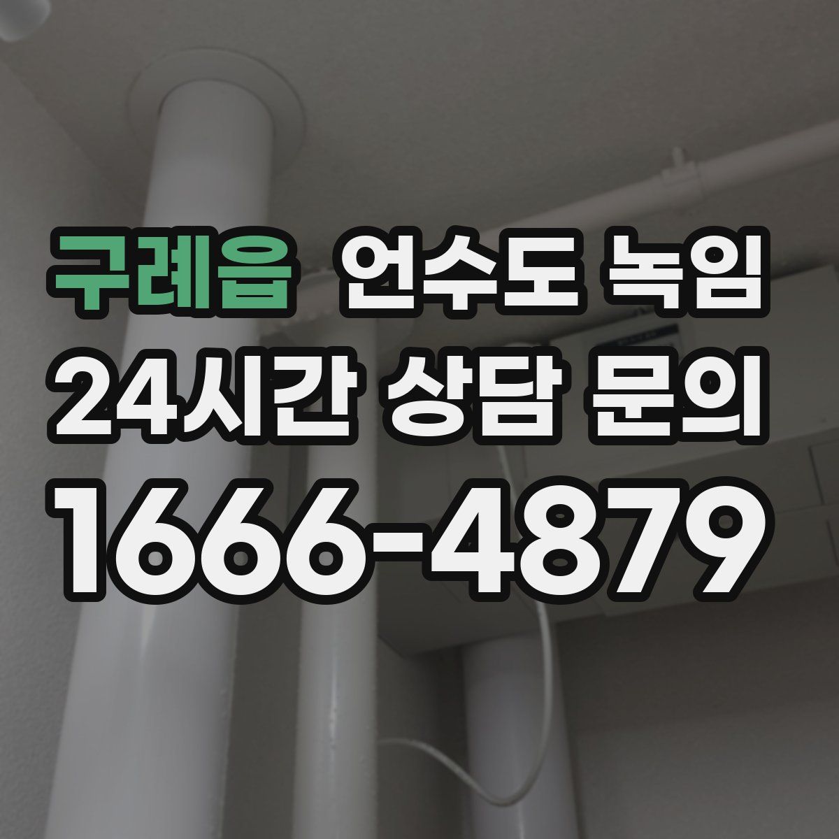 구례읍 언수도 녹임
