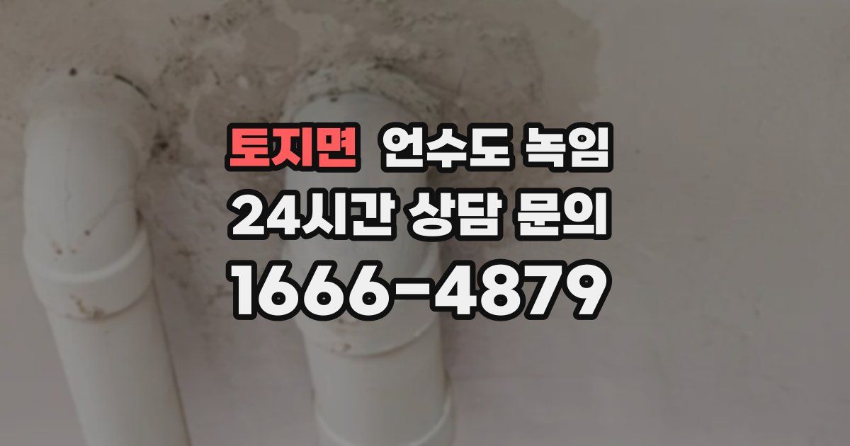 토지면 언수도 녹임