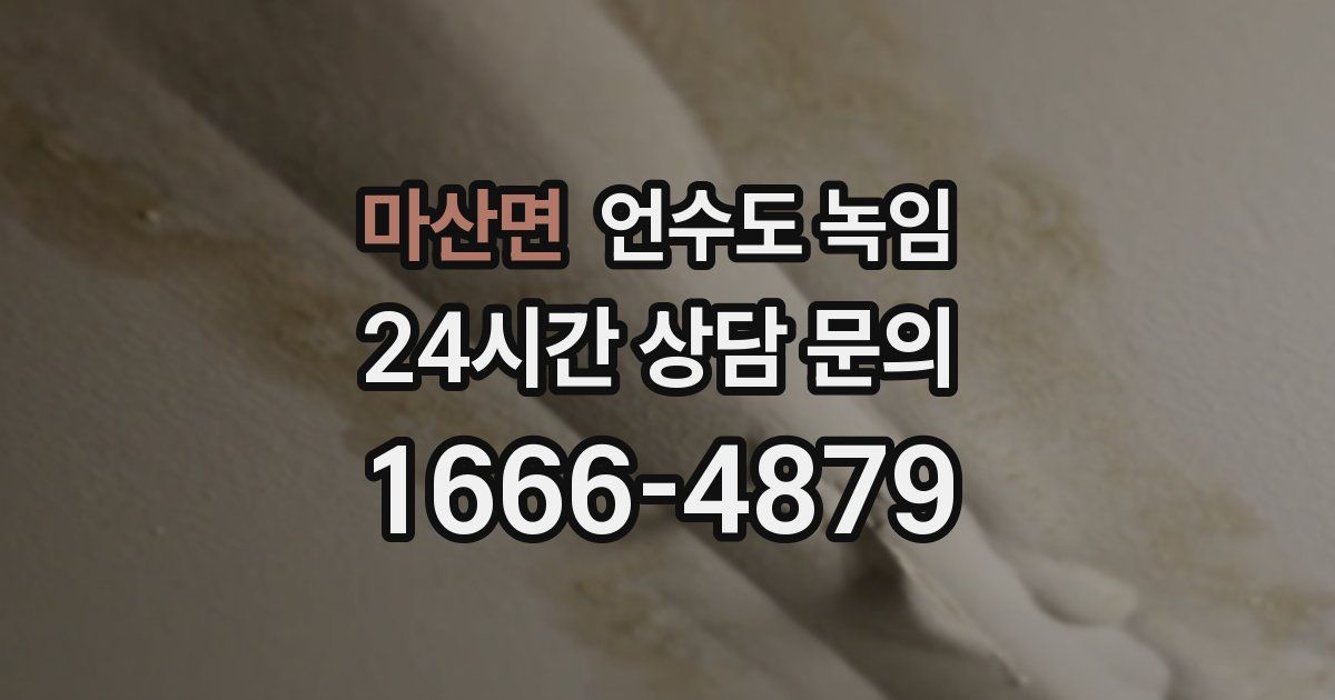 마산면 언수도 녹임