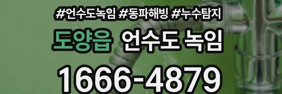 도양읍 언수도 녹임